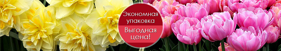 Акция Садовый Мир Акция Садовый Мир
