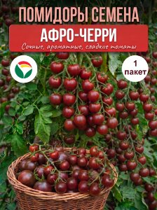 Томат Афро-Черри
