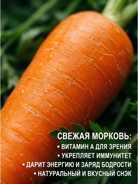 Морковь драже Королева осени семена 