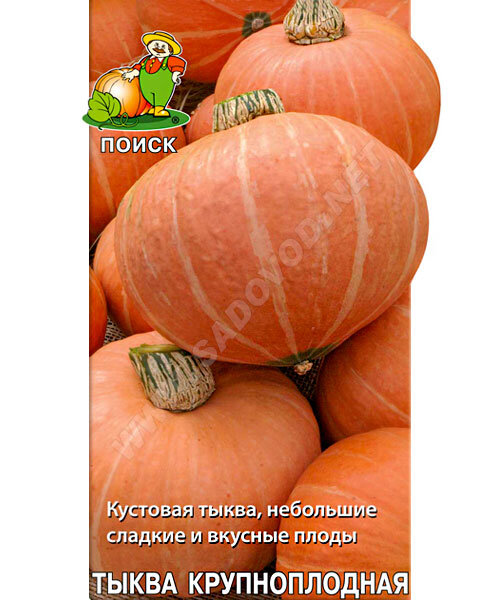 Тыква Амазонка (простые пакеты) семена 
