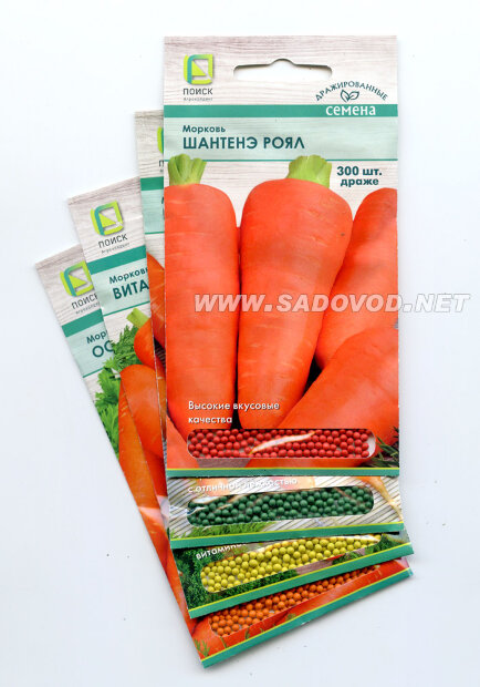 Морковь драже Осенний Король семена 
