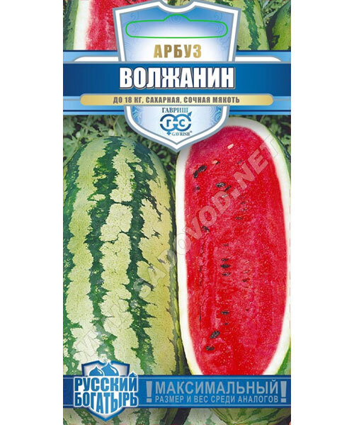 Арбуз Волжанин семена 