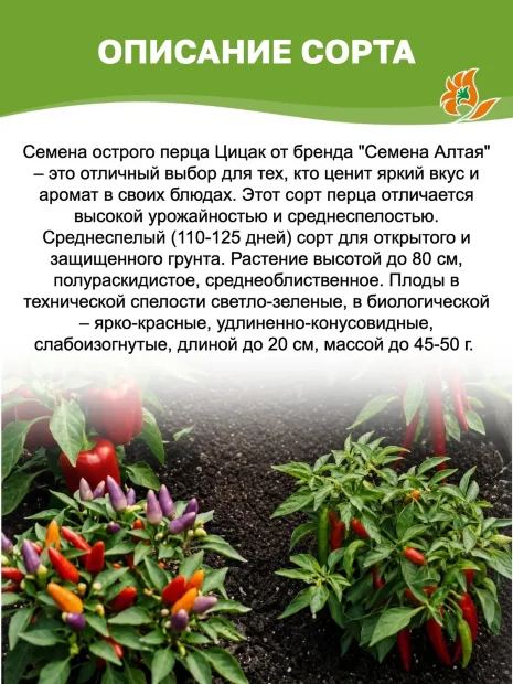 Перец острый Цицак семена 
