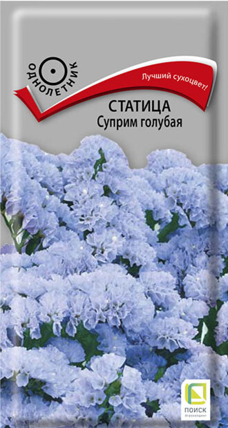 Статица Суприм Голубая семена