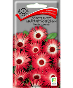 Доротеантус Бэмби красный (маргаритковидный) Доротеантус Бэмби красный (маргаритковидный)