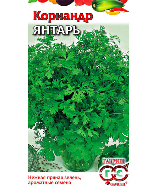 Кориандр Янтарь семена 