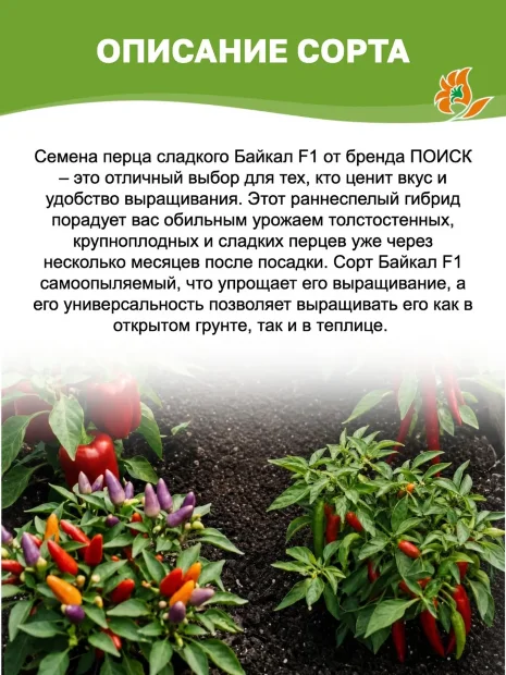 Перец сладкий Байкал F1 семена 