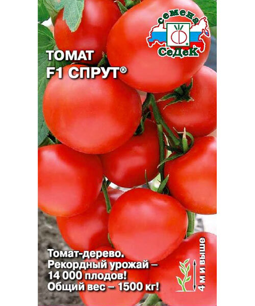 Томат Спрут F1 семена 