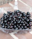 Смородина Севчанка (чёрная) Смородина Севчанка (чёрная)