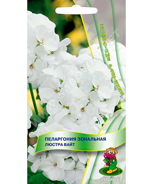Пеларгония Люстра Вайт (зональная) семена
