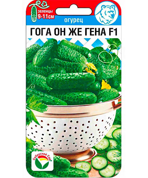 Огурец Гога он же Гена семена 
