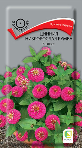 Цинния низкорослая Румба Розовая семена