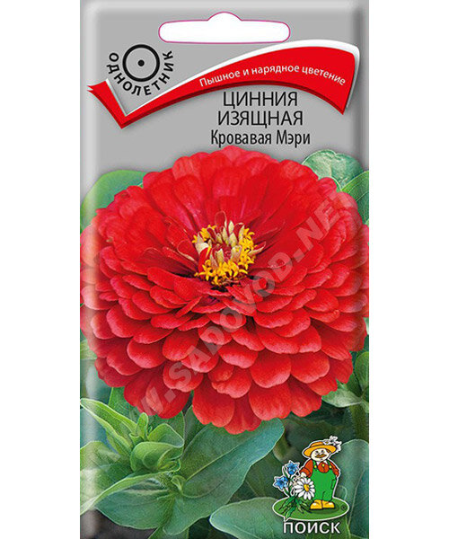 Цинния изящная Кровавая Мэри семена